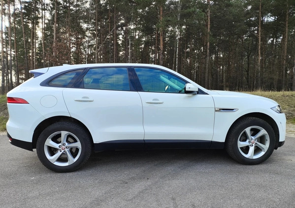 Jaguar F-Pace cena 89800 przebieg: 101000, rok produkcji 2017 z Ząbki małe 172